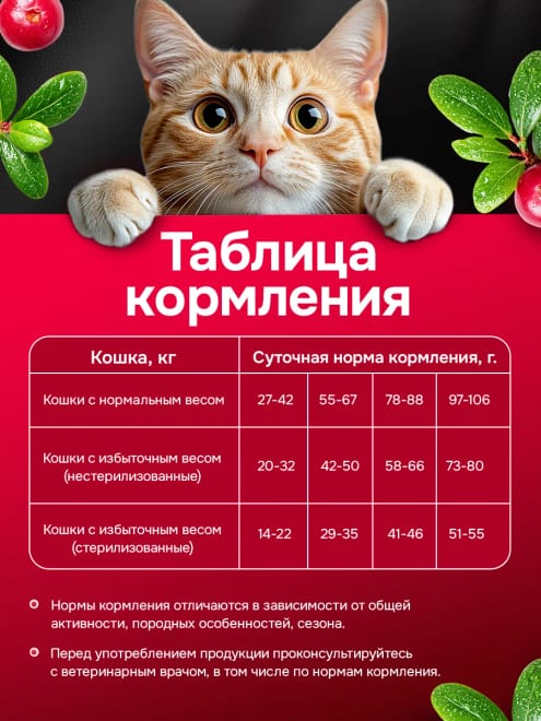 Сухой корм для кошек стерилизованных холистик 70 гр — фото 3